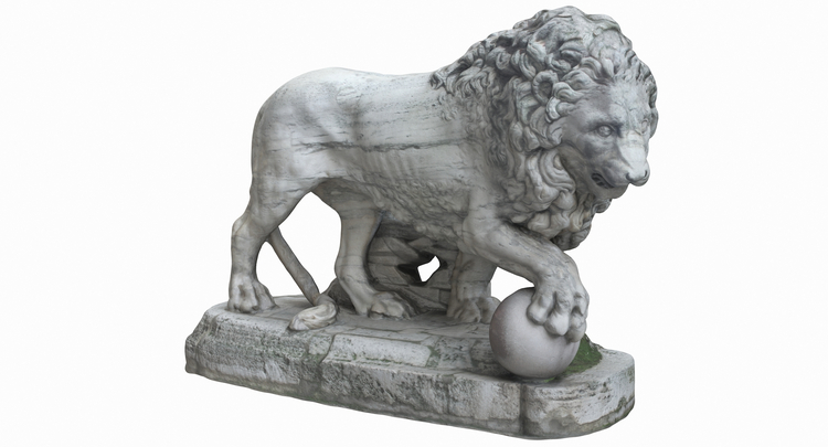 1I711012 Medici Lions For Sale (8)