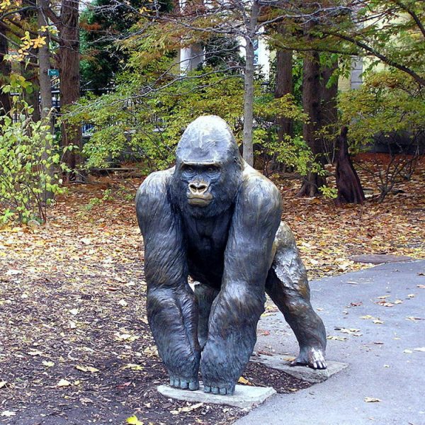 1L207004 Resin Gorilla Statue Patung Gorila (4)