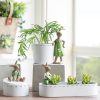 Bunny Flower Pot Wholesale (2)