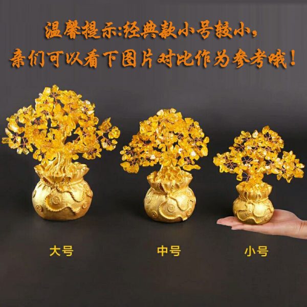Money Tree Plant Feng Shui Sale (1)