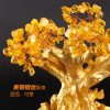 Money Tree Plant Feng Shui Sale (2)