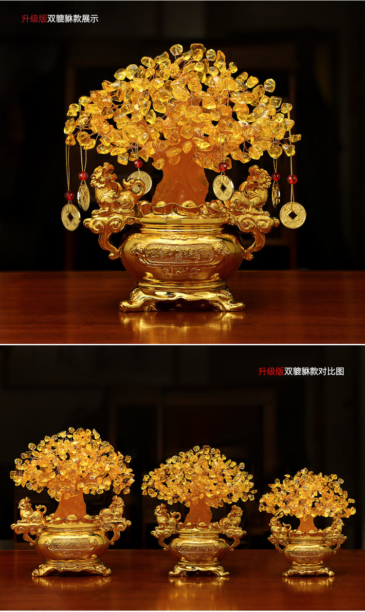 Money Tree Plant Feng Shui Sale Detail (10)