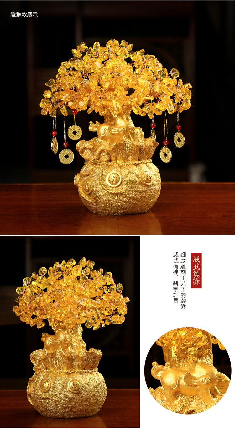 Money Tree Plant Feng Shui Sale Detail (6)