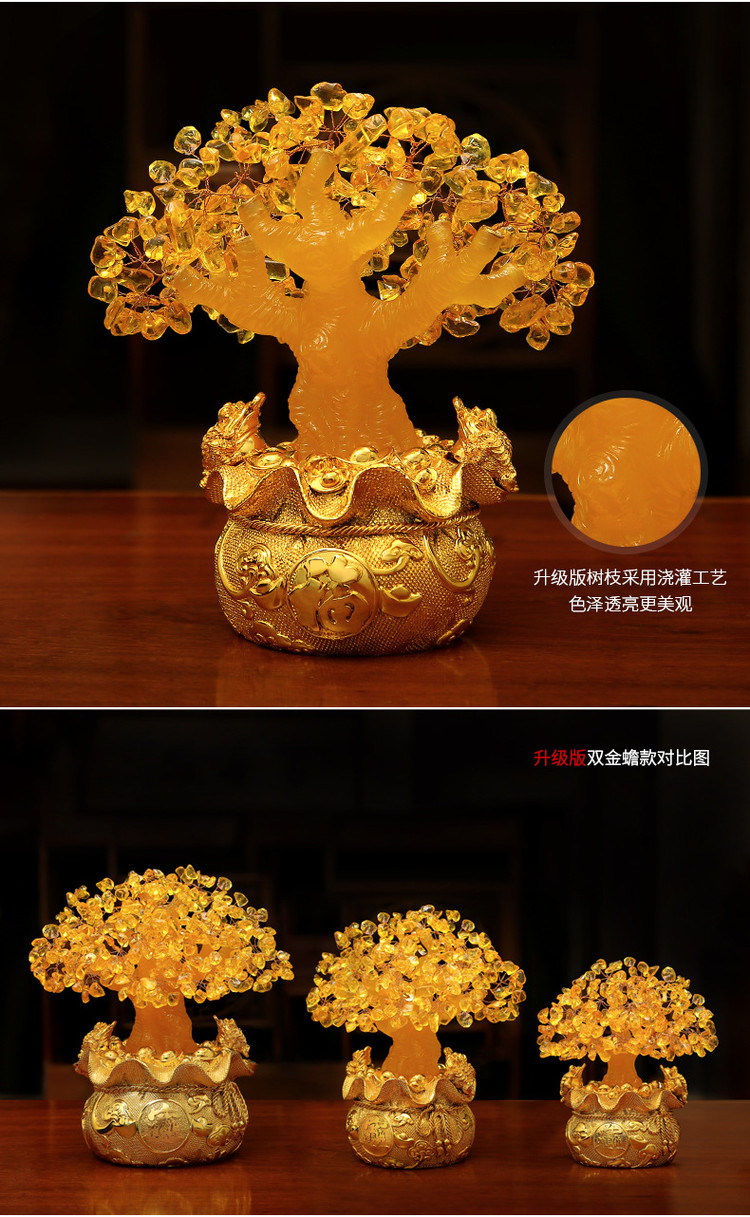 Money Tree Plant Feng Shui Sale Detail (9)