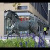 1JA13005 bronze horse statue life size (1)