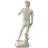 1I715003 Michelangelo David Sculpture (4)