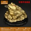 1I904035 Chinese Money Frog Online Sale (17)