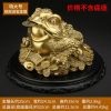 1I904035 Chinese Money Frog Online Sale (19)