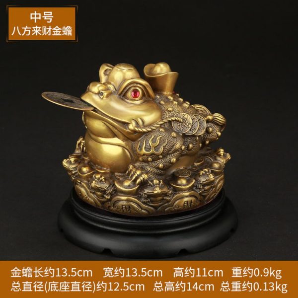 1I904035 Chinese Money Frog Online Sale (28)