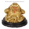 1I904035 Chinese Money Frog Online Sale (3)