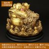 1I904035 Chinese Money Frog Online Sale (31)
