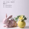 1JC21003 Rabbit Tissue Box Online Sale (29)