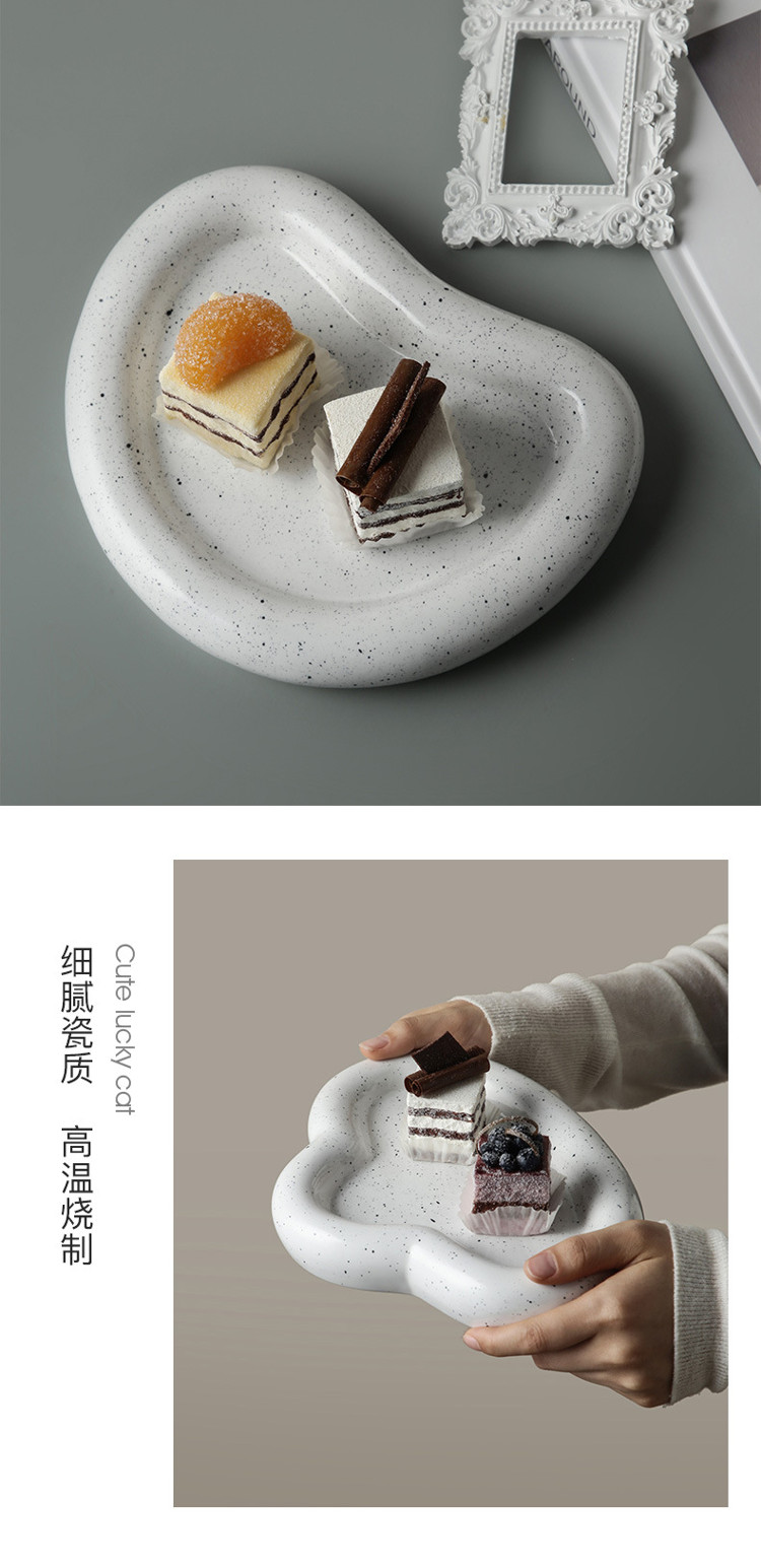 1JC21006 Modern Dessert Plates China Maker (13)