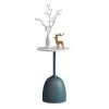1L610015 Small Round Metal Side Table Factory (34)