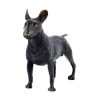 1K820003 Scultura Bronzo Bull Terrier (1)