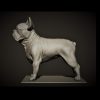 1I801011 French Bulldog Garden Statue Design (1)