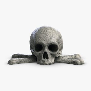 1K908002 Sculptures en pierre à vendre Crâne (1)