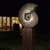 1JA21007 Ammonite Sculpture Garden Ornament Sale (6)