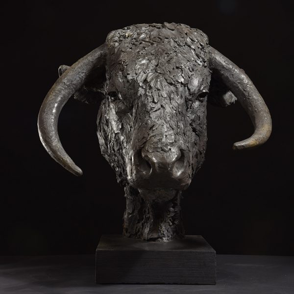1JA22012 Bull Head Sculpture Bronze (2)