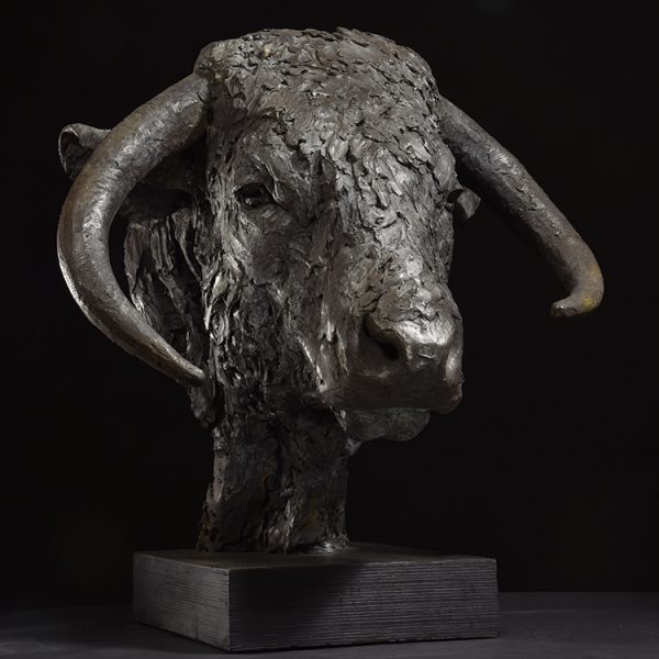 1JA22012 Bull Head Sculpture Bronze (5)