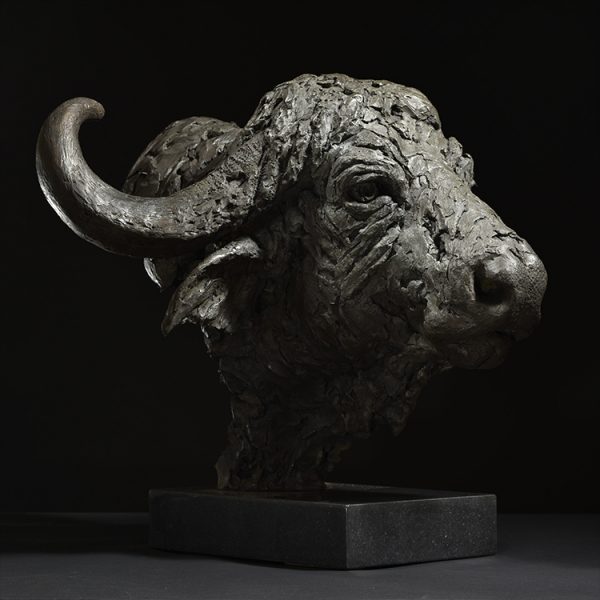 1JA23002 Buffalo Head Sculpture Bronze Sale (3)