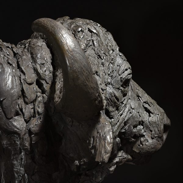 1JA23002 Buffalo Head Sculpture Bronze Sale (4)