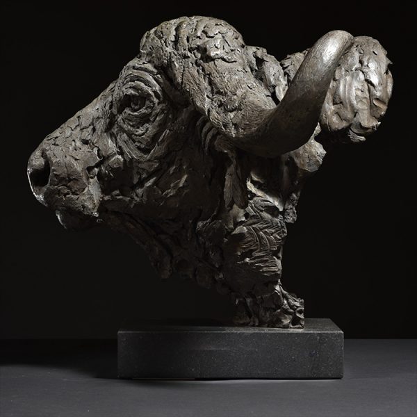 1JA23002 Buffalo Head Sculpture Bronze Sale (5)