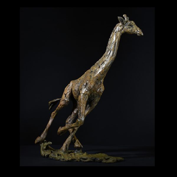 1JA26002 Metal Giraffe Statue Large Size (6)
