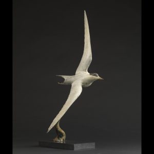 1JB11011 Arctic Tern Flying Statue Bronze (1)