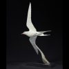 1JB11011 Arctic Tern Flying Statue Bronze (4)