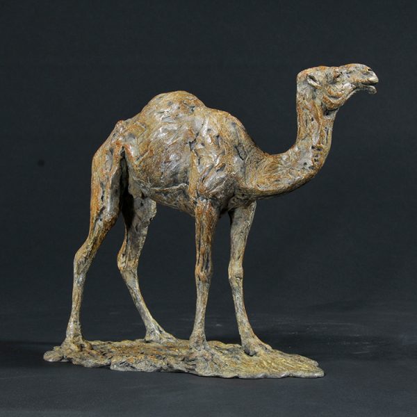 1JB18007 Large Camel Statue Bronze Customized (2)