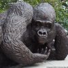 1L315001 Statua Gorilla Gigante Giant Gorilla Statue (2)