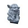 1JC17003 Chinese Guardian Lion Foo Dog Statue(10)