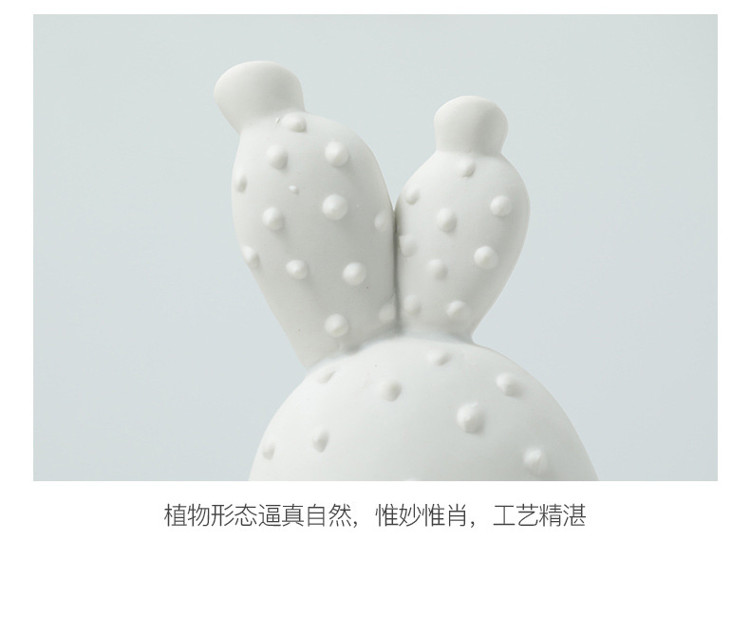 1JC21067 White Ceramic Cactus China Factory (15)