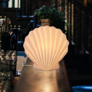 ZZB15152 clam shell lamp china factory (8)