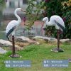 ZZB26010 large outdoor crane statues factory (9)